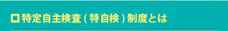 特定自主検査(特自検)制度とは